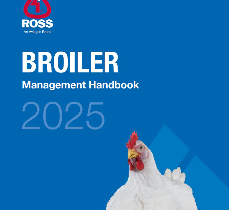 دليل دجاج التسمين Ross – Aviagen (إصدار 2025)