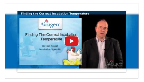 فيديو: تحديد درجة الحرارة الصحيحة للحضانة – باللغة الإنجليزية (2019)