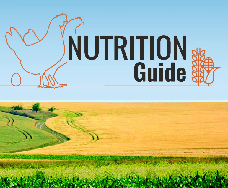 Nutrition guide novogen layer