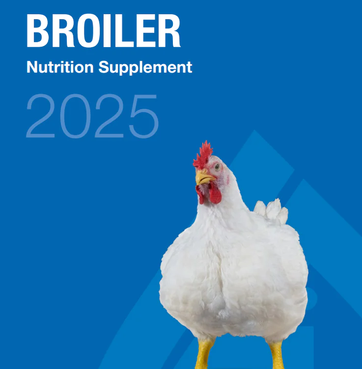 ملحق تغذية دجاج التسمين Ross – Aviagen