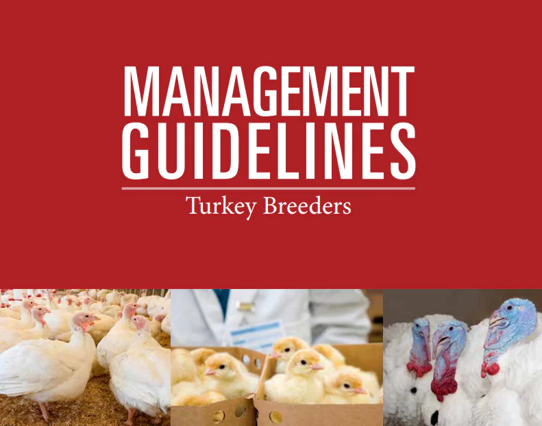 دليل أفياجن لإدارة أمهات الرومي