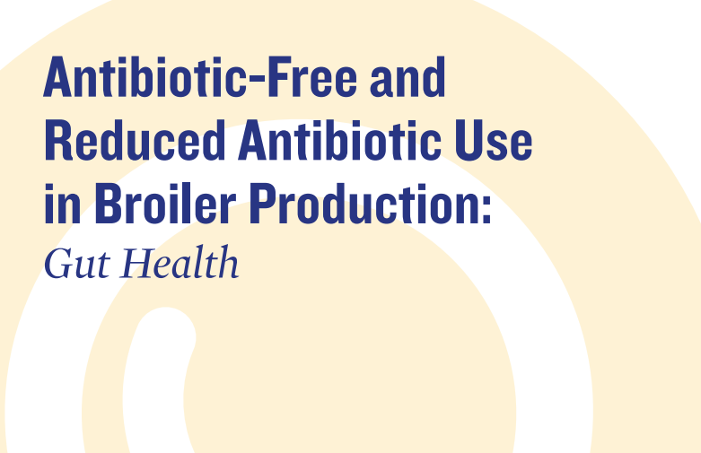 الإنتاج الداجني الخالي من المضادات الحيوية وتقليل استخدامها