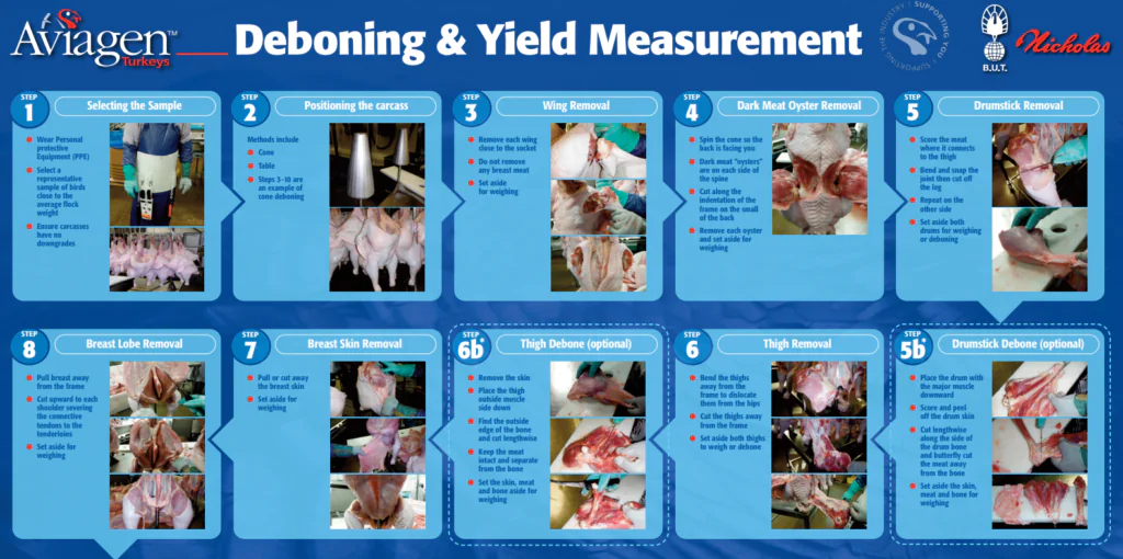 فك العظم وقياس العائد – ATL