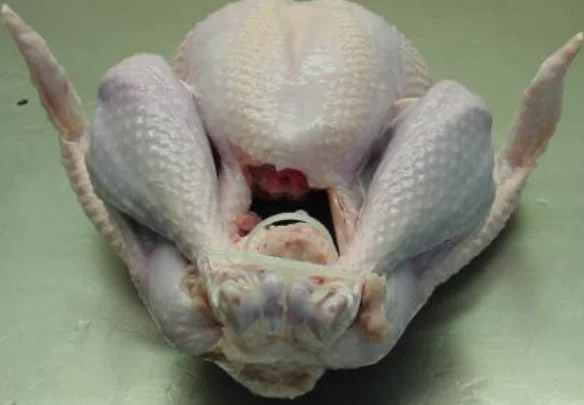 تقييم: المشروع الجماعي النهائي