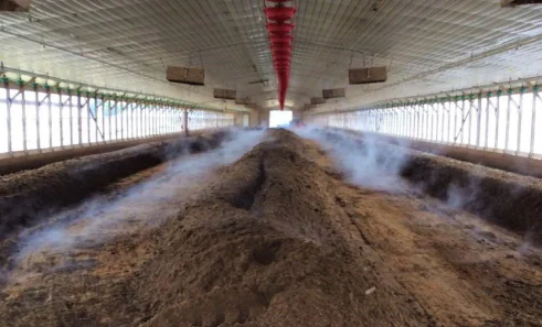 التسميد على شكل أكوام (Windrow) لفضلات الرومي – ATI