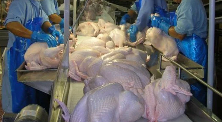 برنامج سحب العلف والماء – نشرة فنية، العدد 56