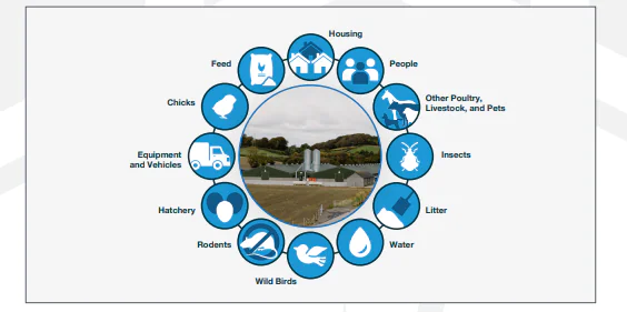 أفضل ممارسات الأمن البيولوجي – Ross